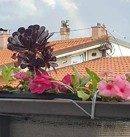Tomo Crikvenica